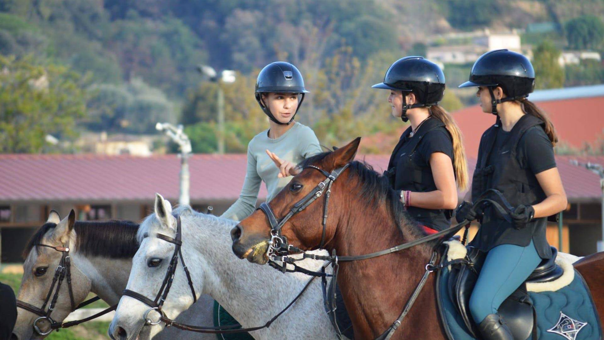 Premium Equestrian Facilities  | Equestrian Monaco
